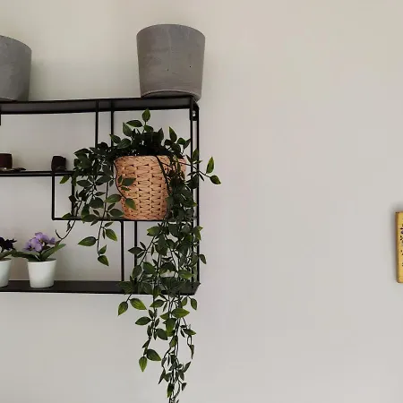 Skichalet Cervinia Elena & Sanny 公寓