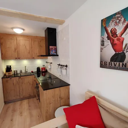 公寓 Skichalet Cervinia Elena & Sanny